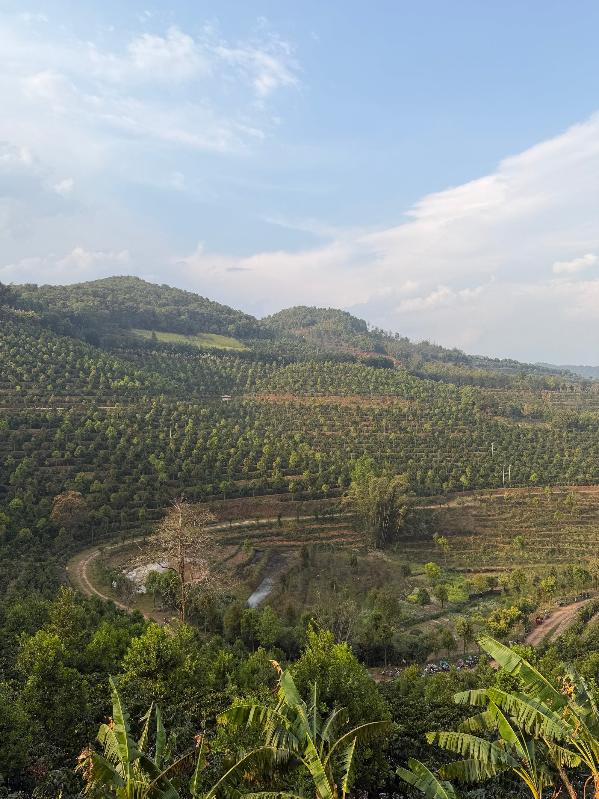 A scenic landscape photograph of rolling green hills covered in dense trees, with a winding dirt road and a small pond in the valley, under a blue sky with light clouds.